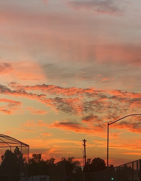 oliviawildinfree model adult image