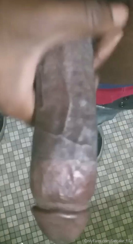 fatcake filla pornstar art pic