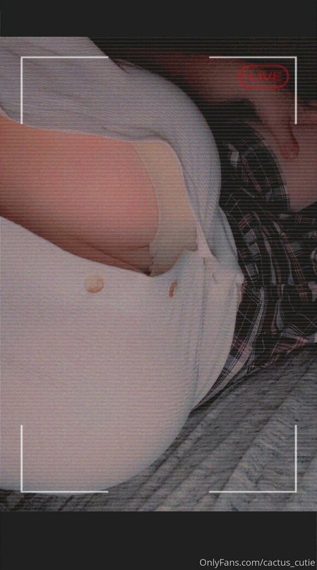 cactus cutie star art photo