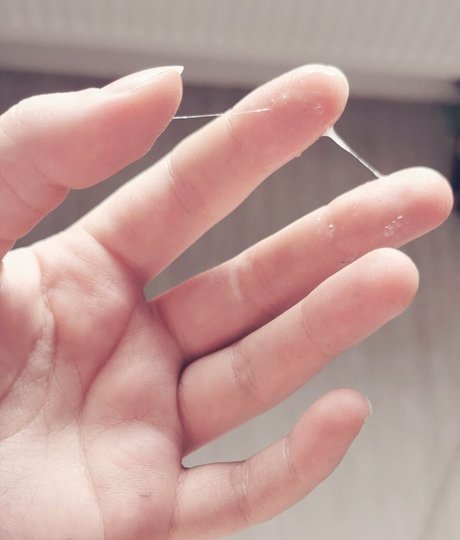 freewafflehoe star porn pictures