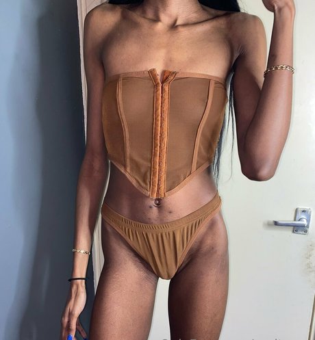 verityvee beautiful star galleries