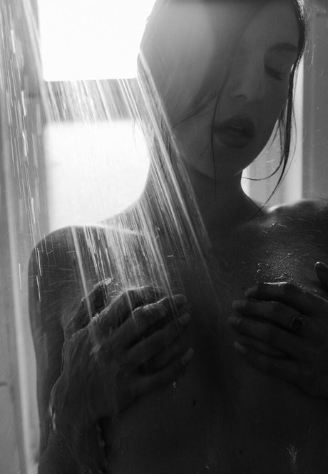 bellafuryfree top star picture