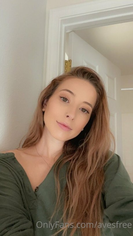 Avesfree star art gallery