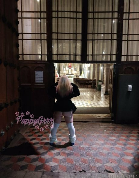 puppy grrr Profile photo