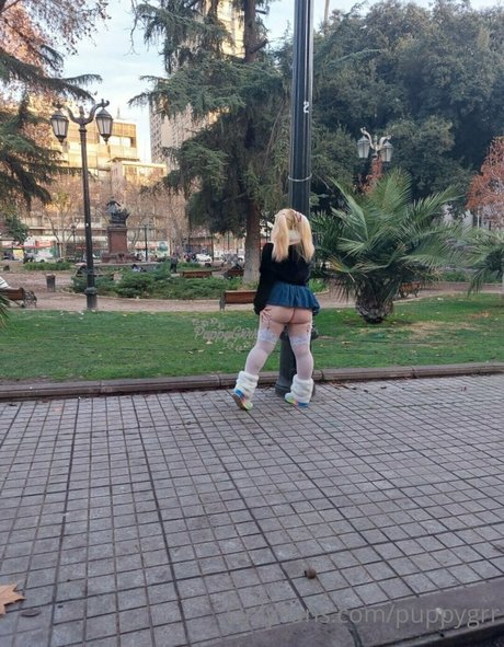 puppy grrr pornstar image