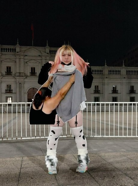 puppy grrr star hd photo