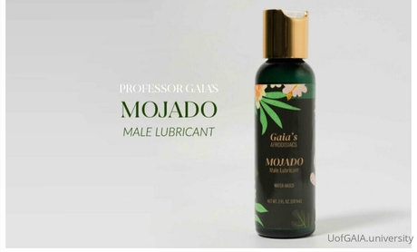 uofgaia art star pics