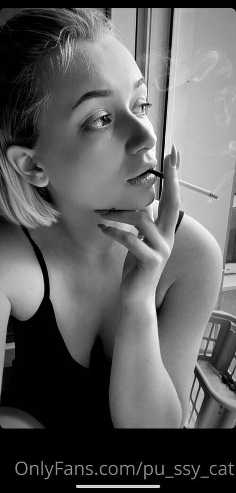 jane of blonde pornographic star image