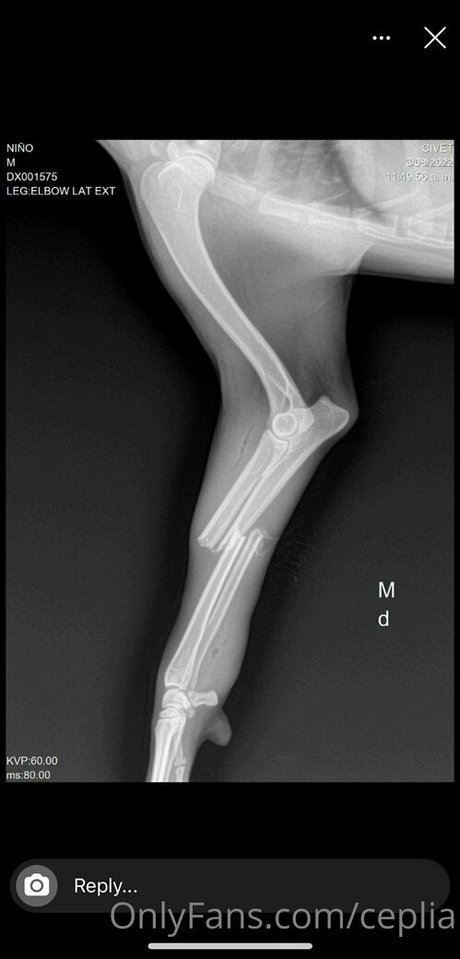 mature asian onlyfans naked gallery