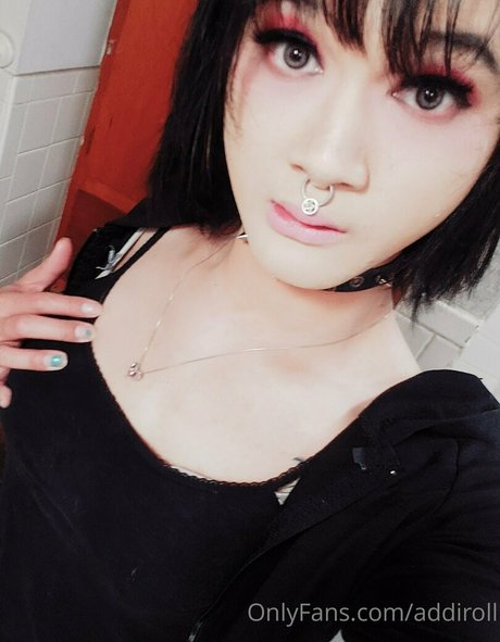 addiroll hd model image