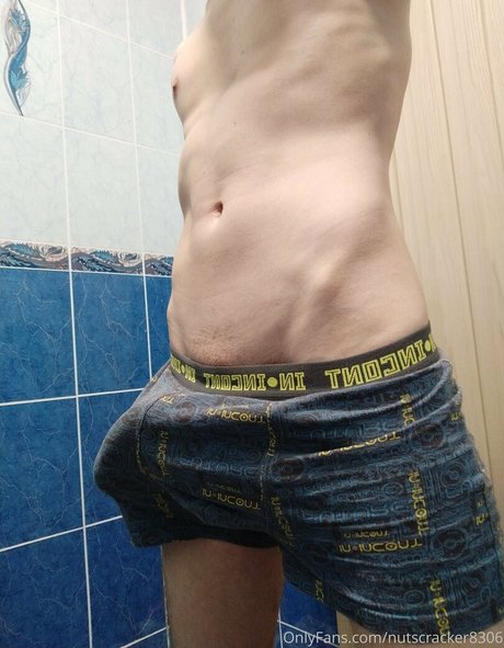 nutscracker8306 star art picture