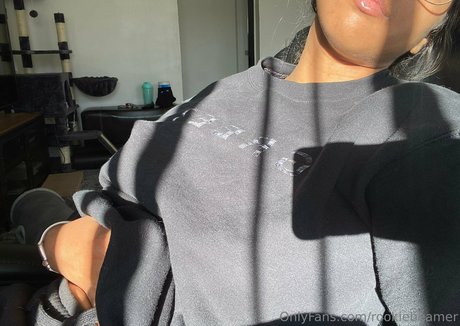 rookiebeamer best pornstar archive