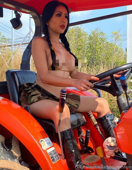 ladyboyfernfern pornstar galleries