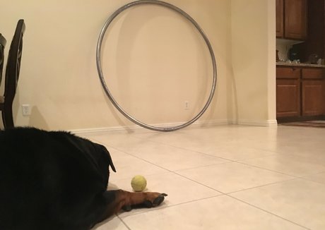 vanessablue pornographic star pictures