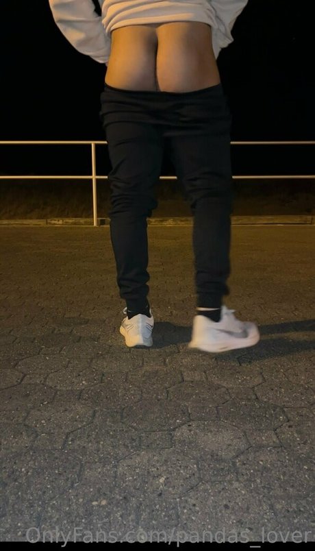 pandas lover star perfect image