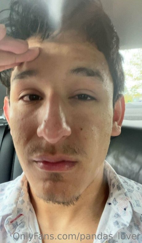 pandas lover nice model image