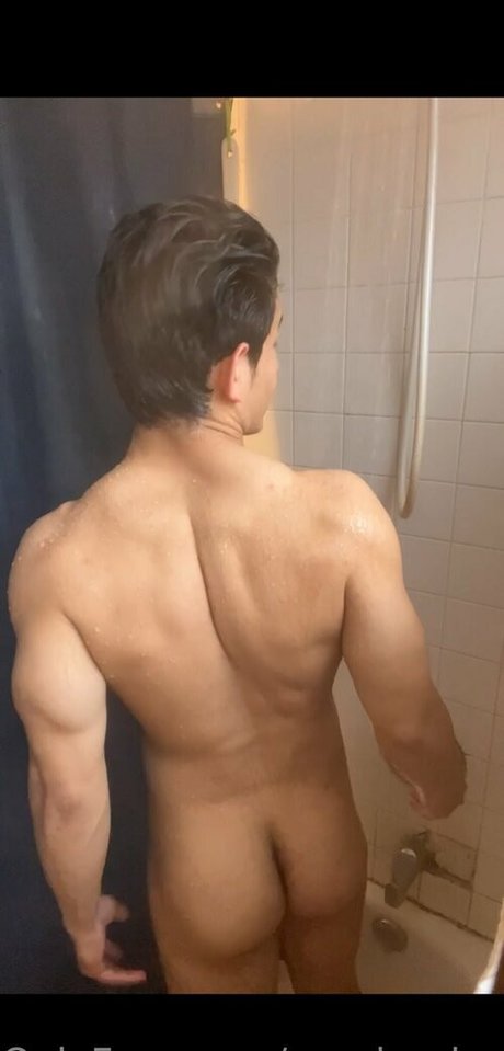 pandas lover star beautiful gallery