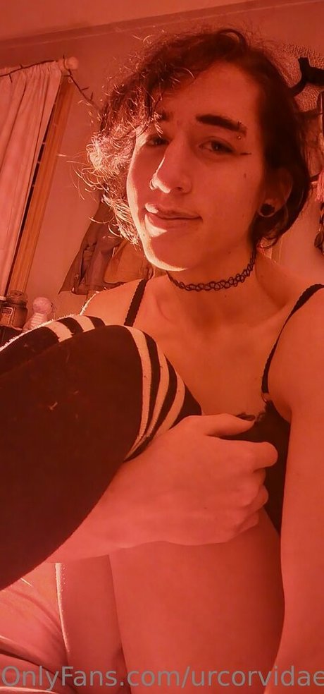 urcorvidae pornstar exclusive archive