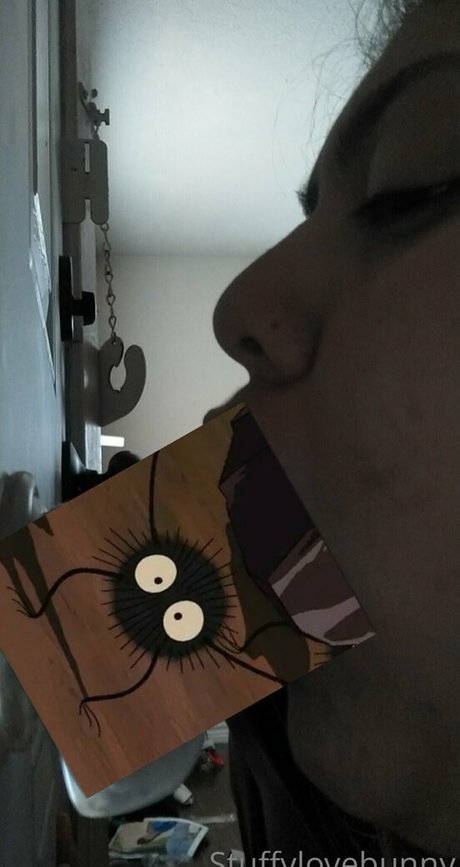 StuffyLoveBunny star hd picture