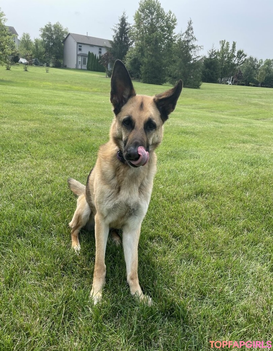 gay joi onlyfans naked galleries