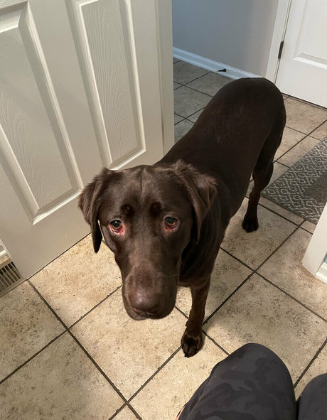 doubledboatgirl vip art model image