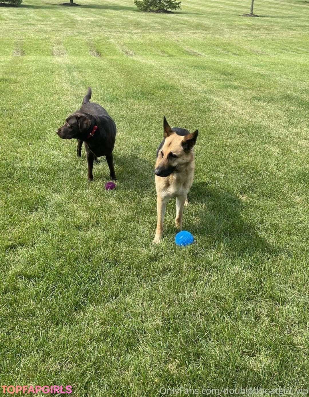 doubledboatgirl vip sexy star img