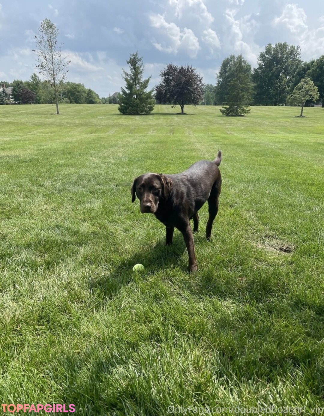 doubledboatgirl vip star pornographic image