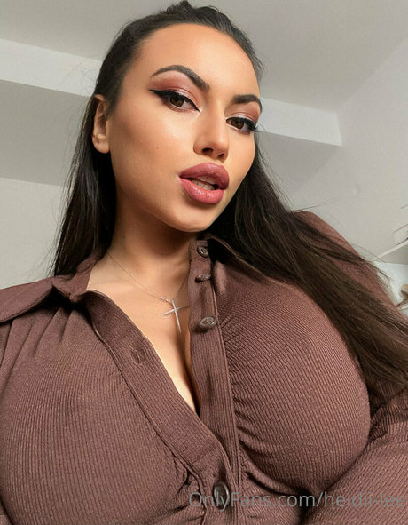 heidii lee nice model archive