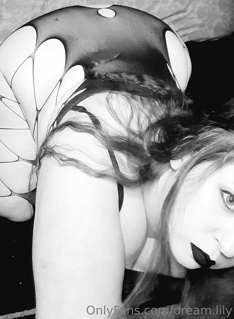 dream lily nudes pornstar archive