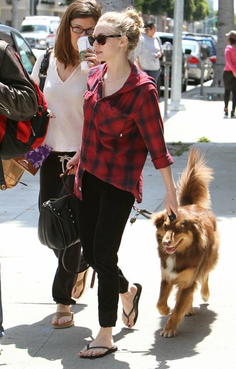 Amanda Seyfried model sex photo