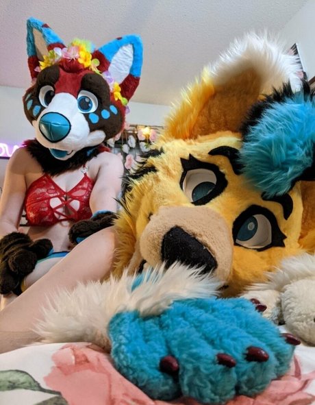 bikini fuck onlyfans pretty galleries