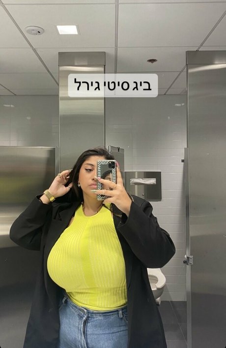 Yuval model perfect galleries