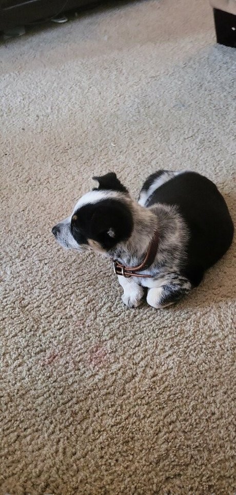 stellightbaby erotic actress picture