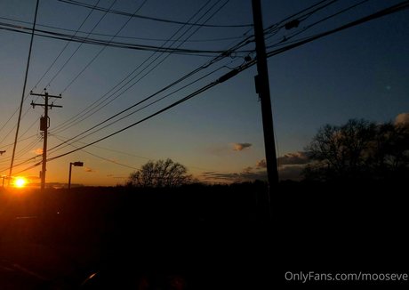 mooseve xxx model gallery