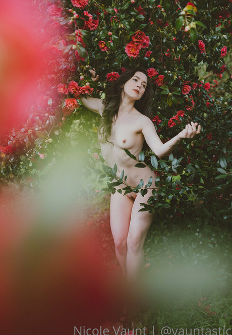 vauntastic high quality pornstar photo