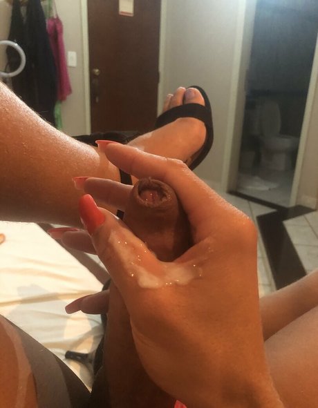 renataryos hd star gallery