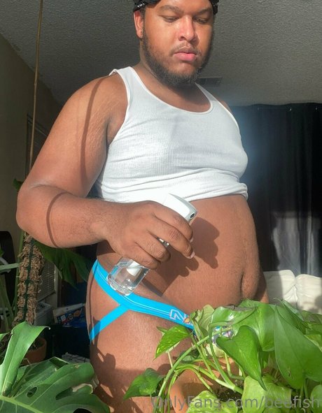 beefish perfect star galleries