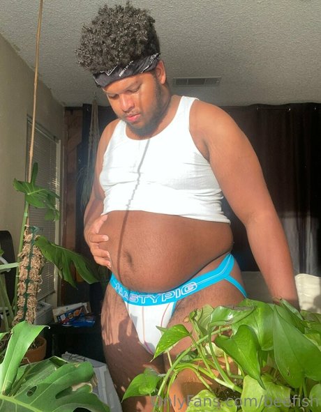 beefish star high quality galleries