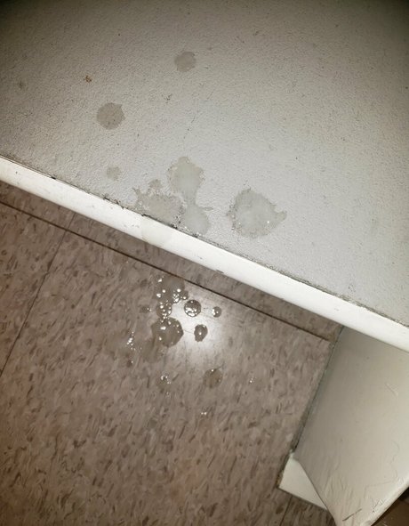 andymoto perfect model img