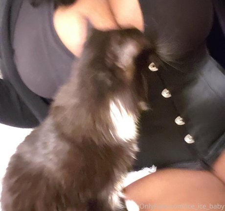 ice ice baby star nudes gallery