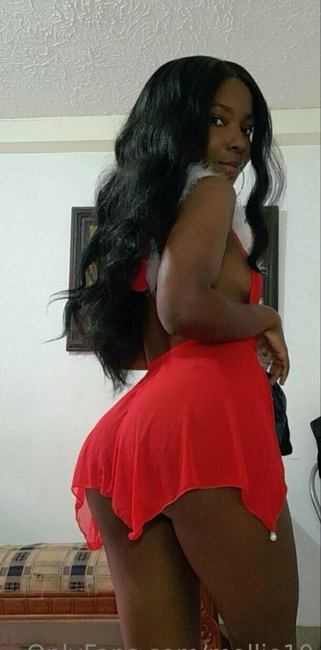 mollie10 top star images