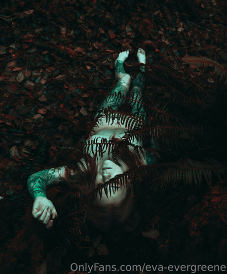 eva evergreene star adult picture