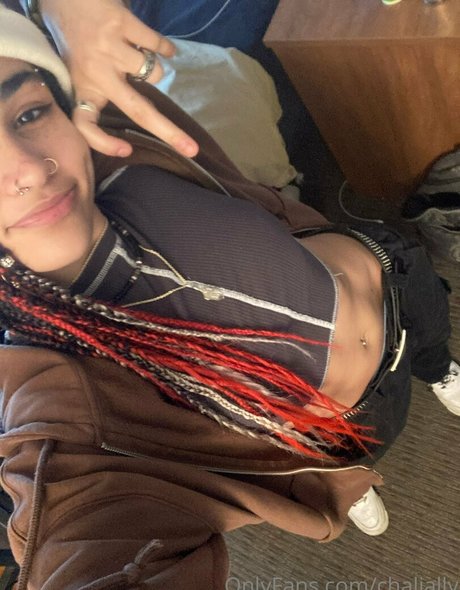 chalially star nice galleries