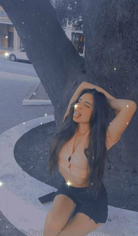 littlecat234 xxx model pictures