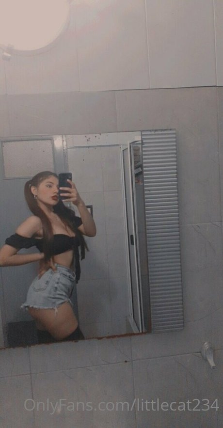 littlecat234 beautiful star galleries