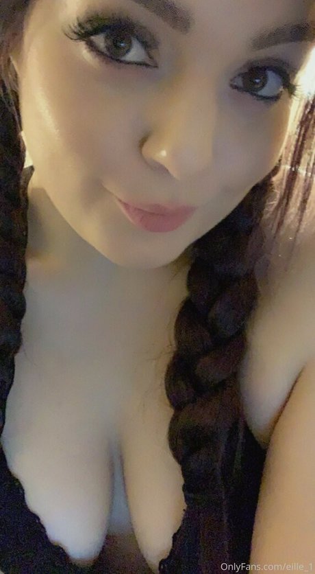 eille 1 model art pic