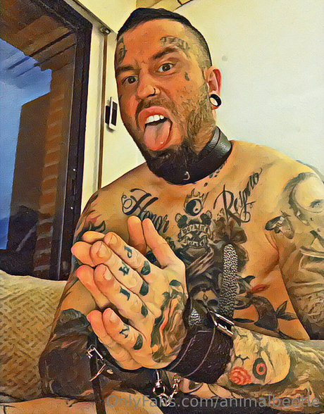 animalbeetle xxx pornstar img