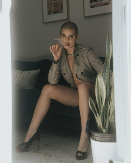 steves end star nice gallery