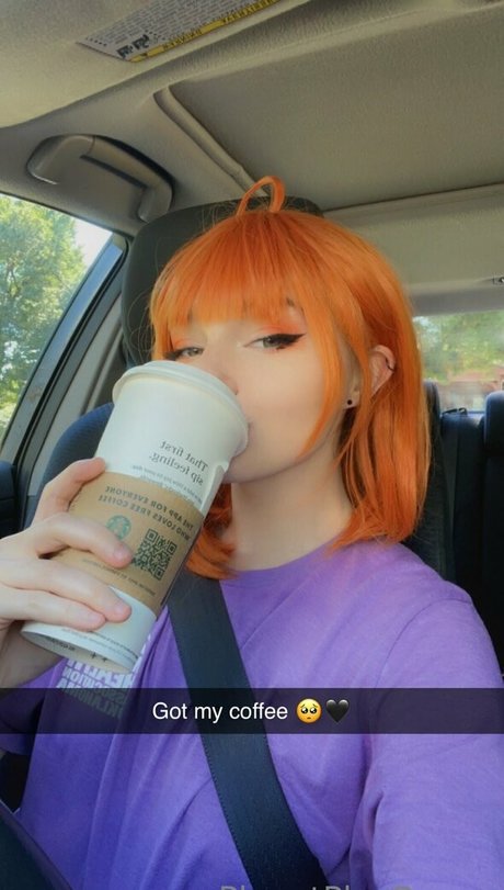 PlanetPlayBunny star top galleries