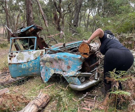 lydiarotary perfect model image